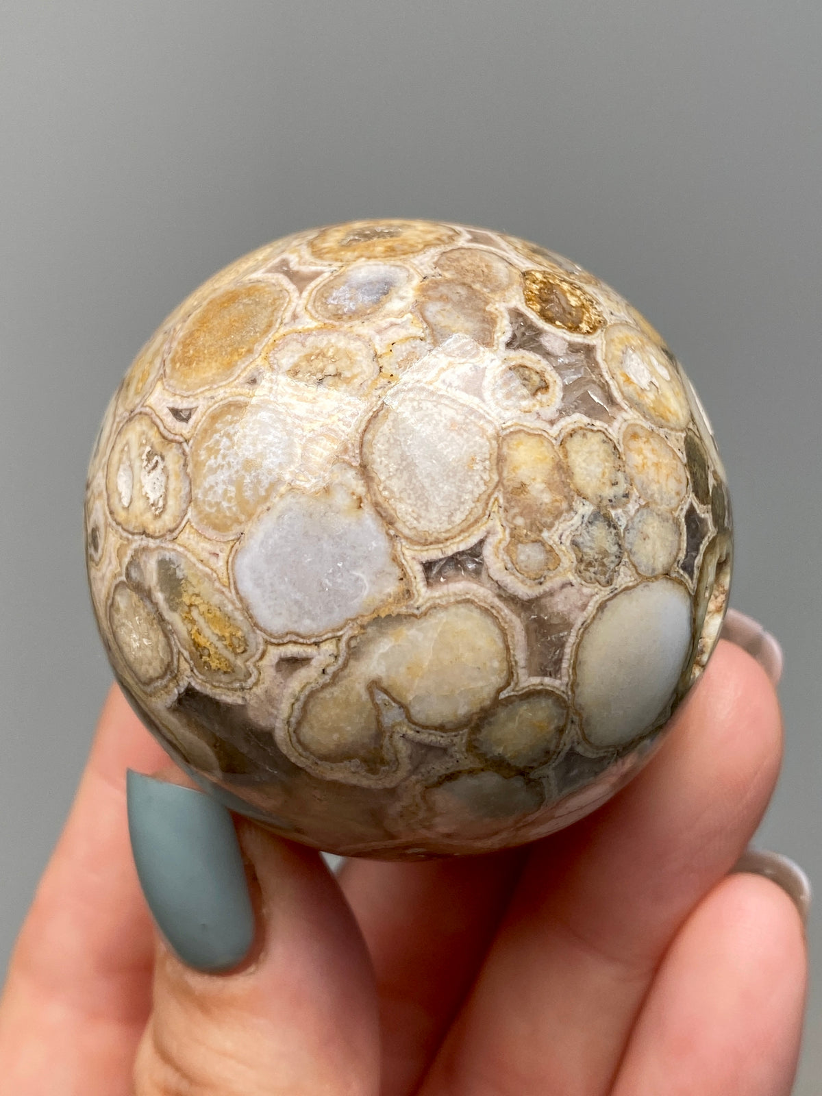 King Cobra Jasper Sphere (E) | Pastel Cream & Yellow Cobra Jasper Ball with Vugs