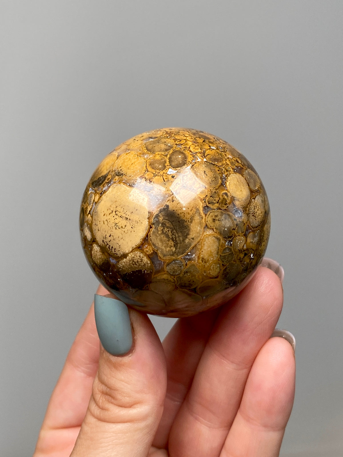 King Cobra Jasper Sphere (B) | Pastel Cream, Yellow & Lilac Cobra Jasper Ball