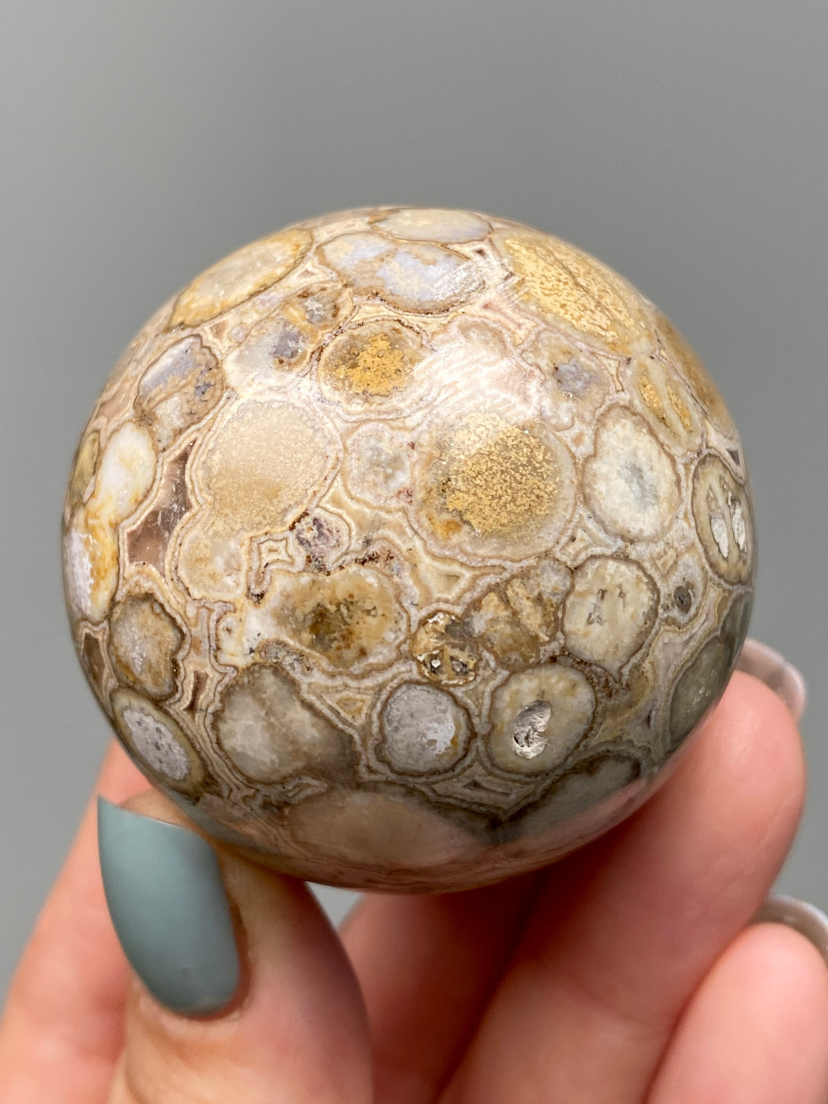 King Cobra Jasper Sphere (E) | Pastel Cream & Yellow Cobra Jasper Ball with Vugs