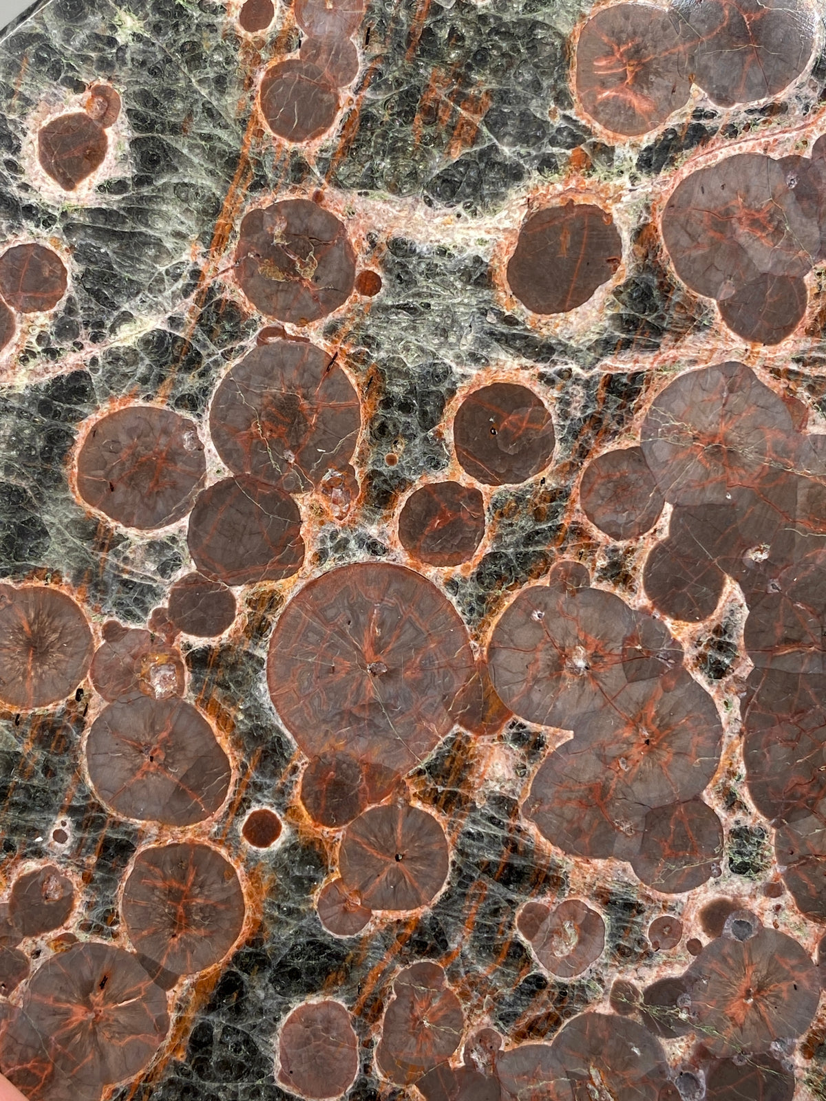 Mexican Peanut Obsidian Disc (C)