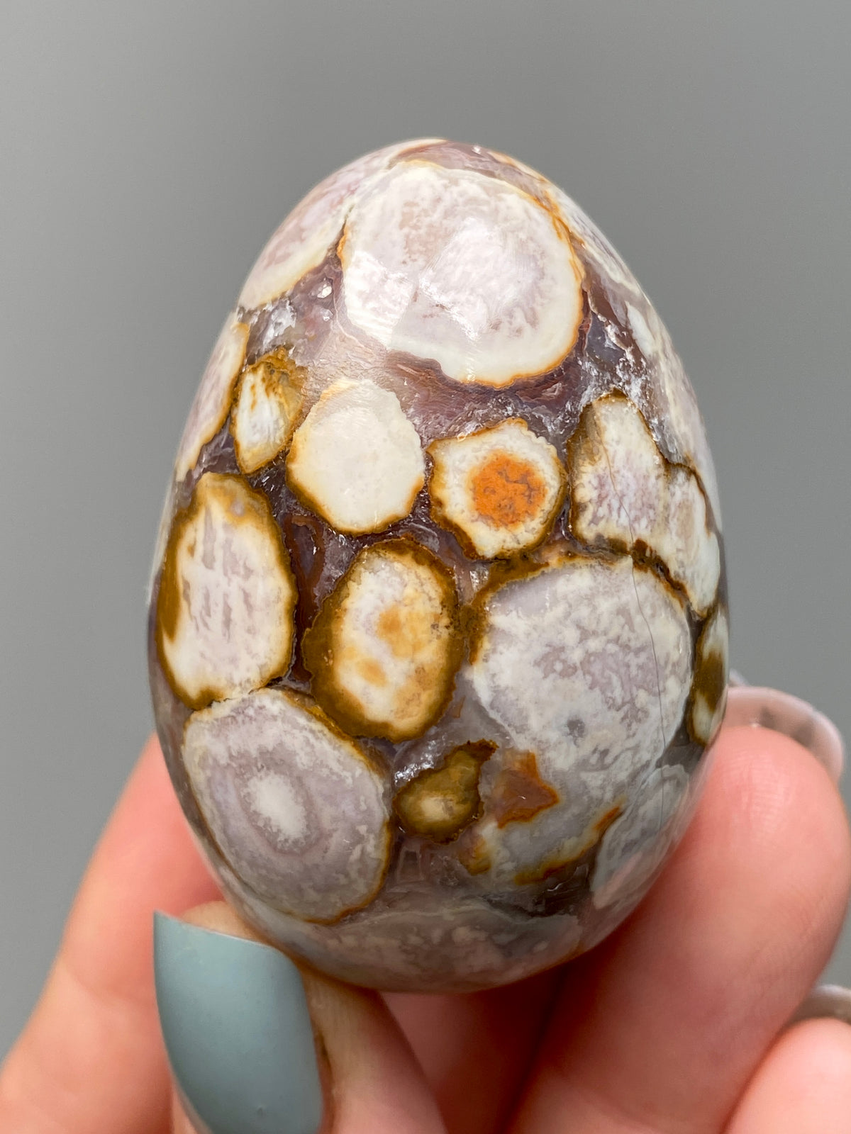 King Cobra Jasper Egg (C) | Lilac, Cream & Yellow Cobra Jasper Crystal Egg with Quartz