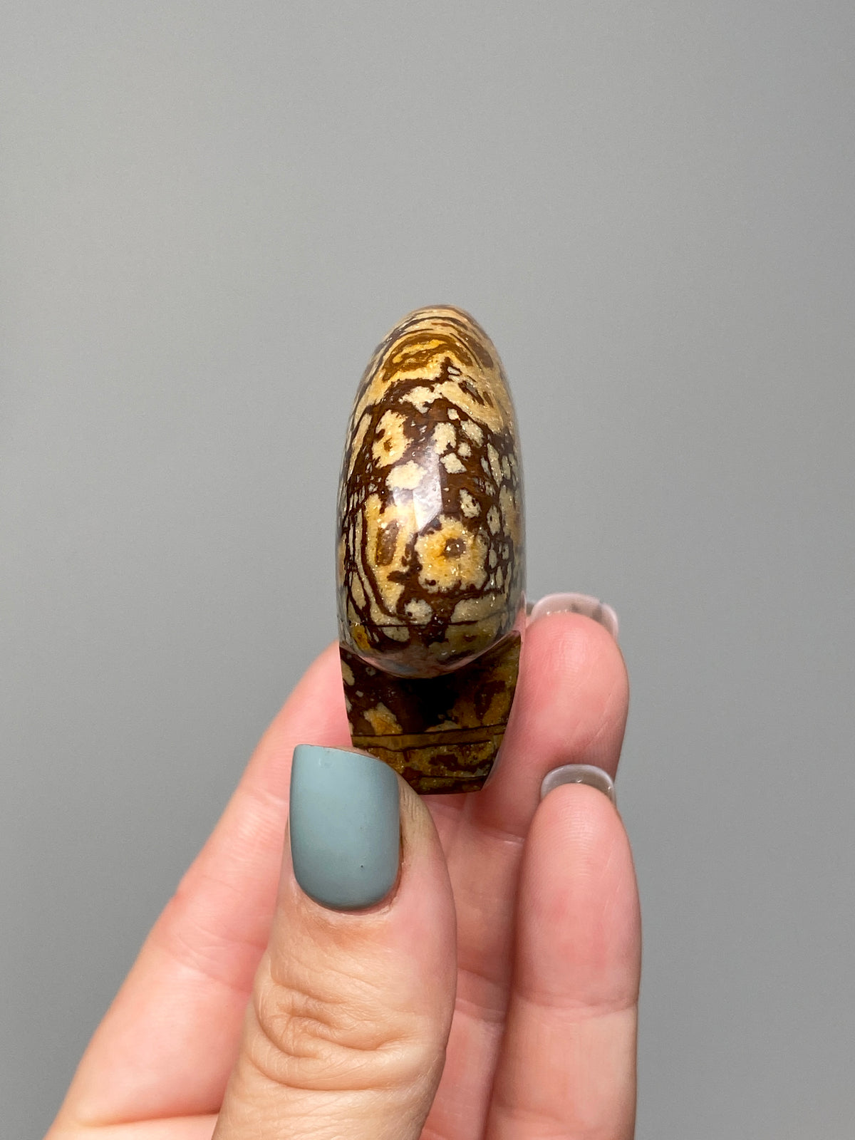 Outback Jasper Bear (A) | Hand Carved Banded Chert Bear