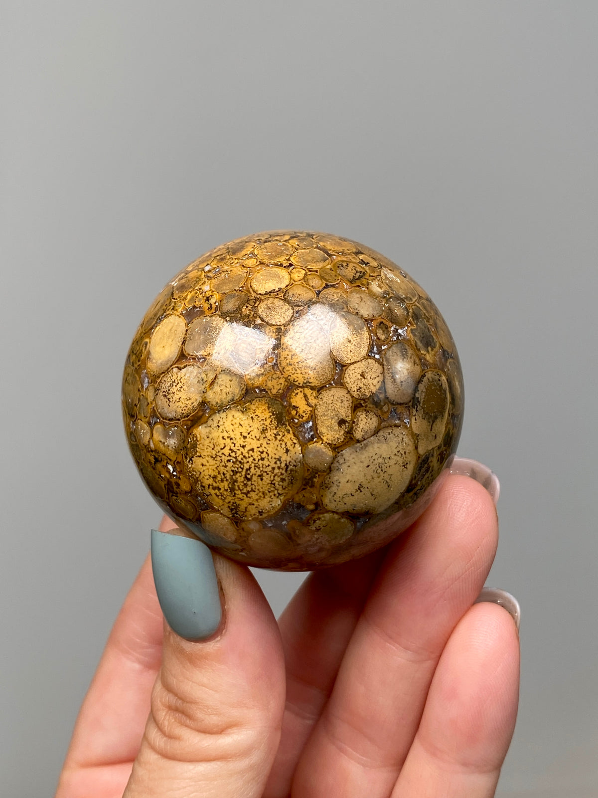 King Cobra Jasper Sphere (B) | Pastel Cream, Yellow & Lilac Cobra Jasper Ball