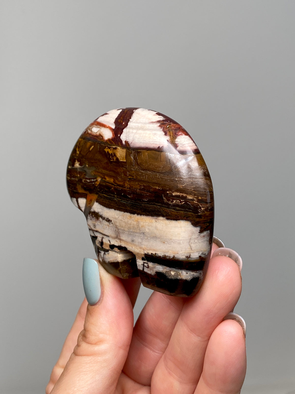 RESERVED                                        Outback Jasper Bear (C) | Hand Carved Banded Chert Bear