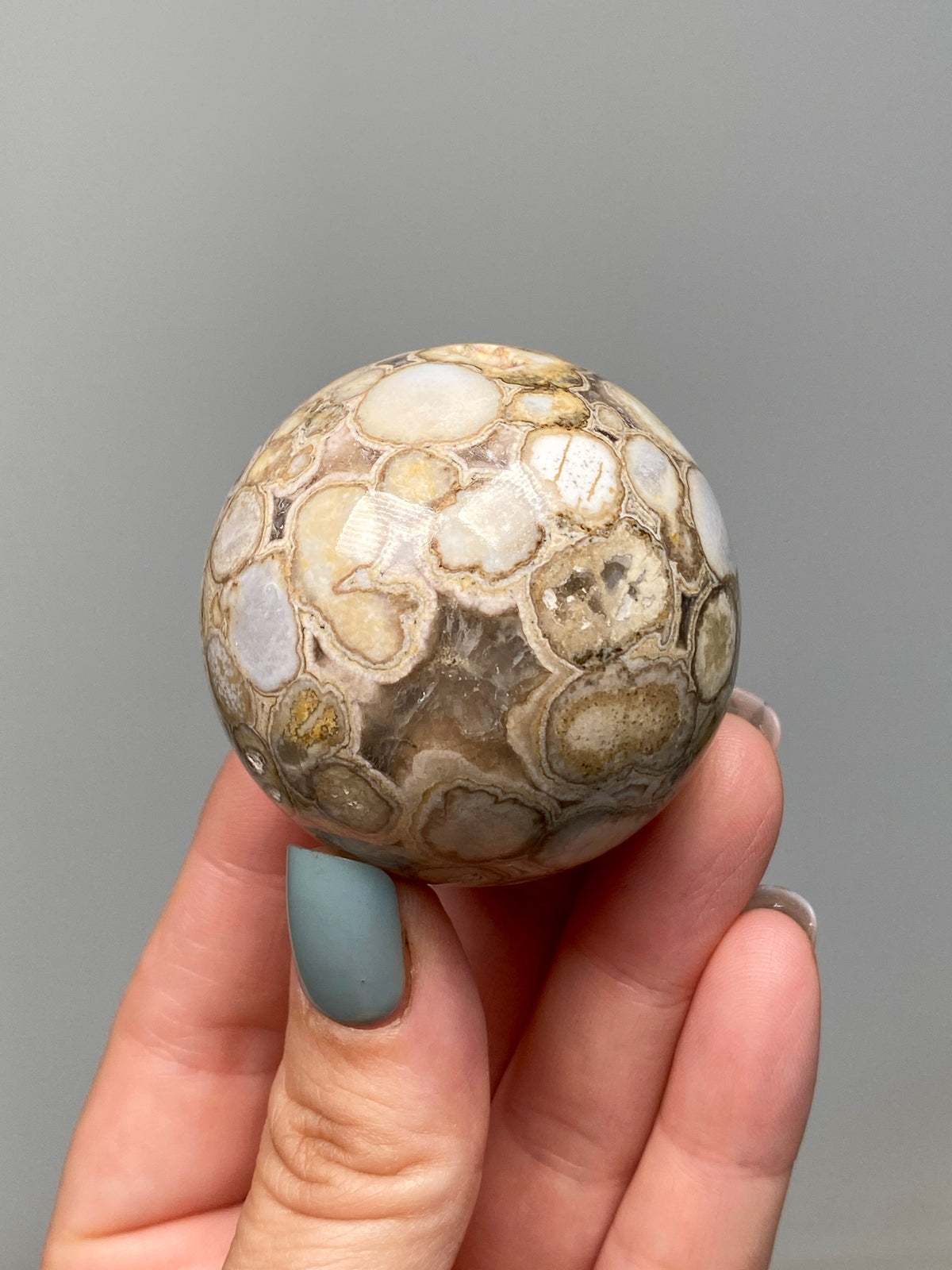 King Cobra Jasper Sphere (E) | Pastel Cream & Yellow Cobra Jasper Ball with Vugs