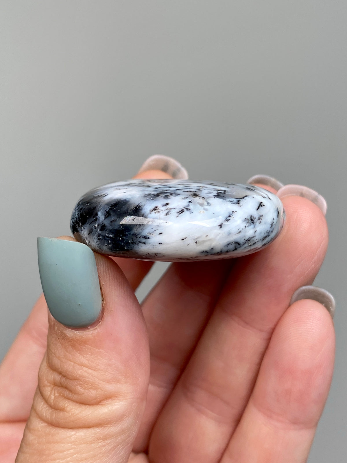 Turkish Dendritic Opal Flat Stone (L)