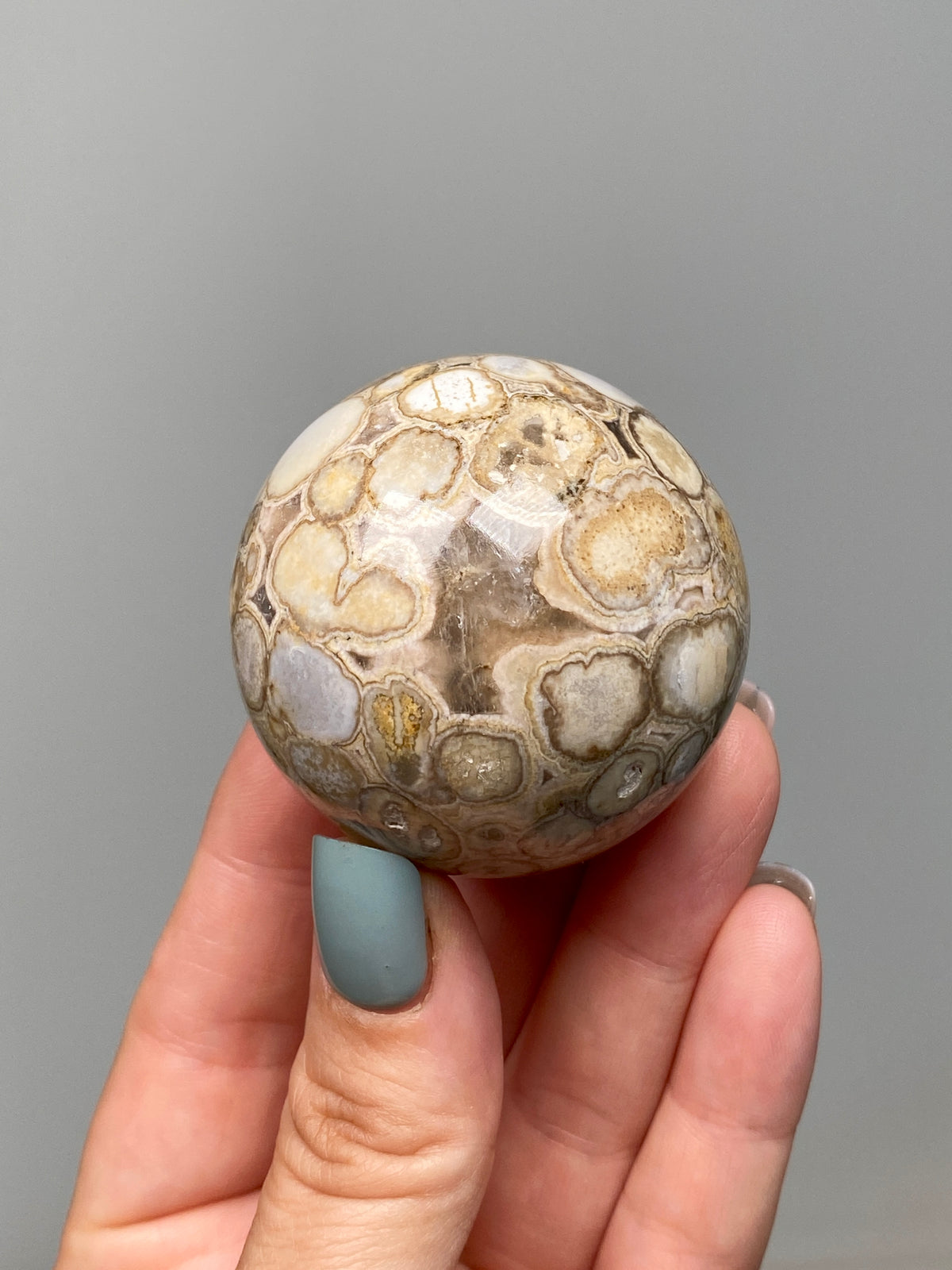 King Cobra Jasper Sphere (E) | Pastel Cream & Yellow Cobra Jasper Ball with Vugs