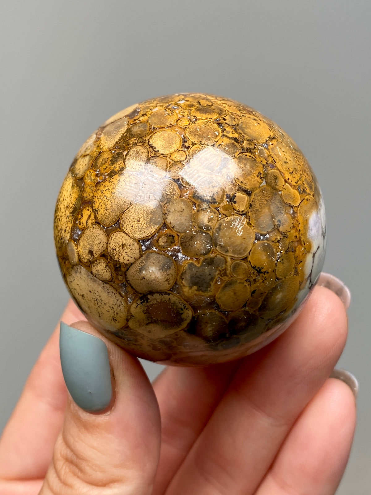 King Cobra Jasper Sphere (B) | Pastel Cream, Yellow & Lilac Cobra Jasper Ball