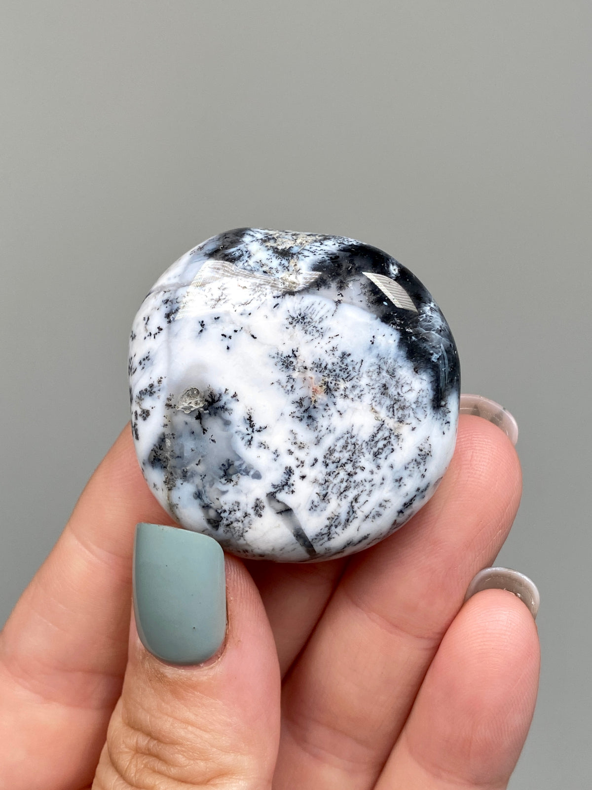 Turkish Dendritic Opal Flat Stone (L)