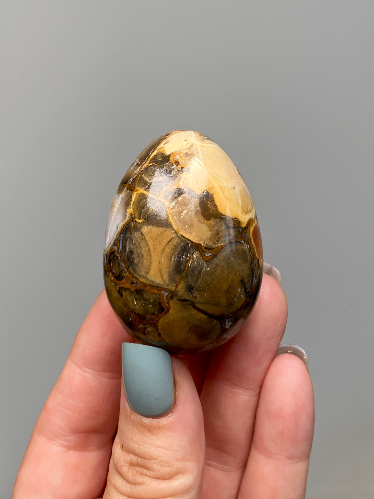 King Cobra Jasper Egg (B) | Lilac Grey, Yellow & Orange Cobra Jasper Crystal Egg