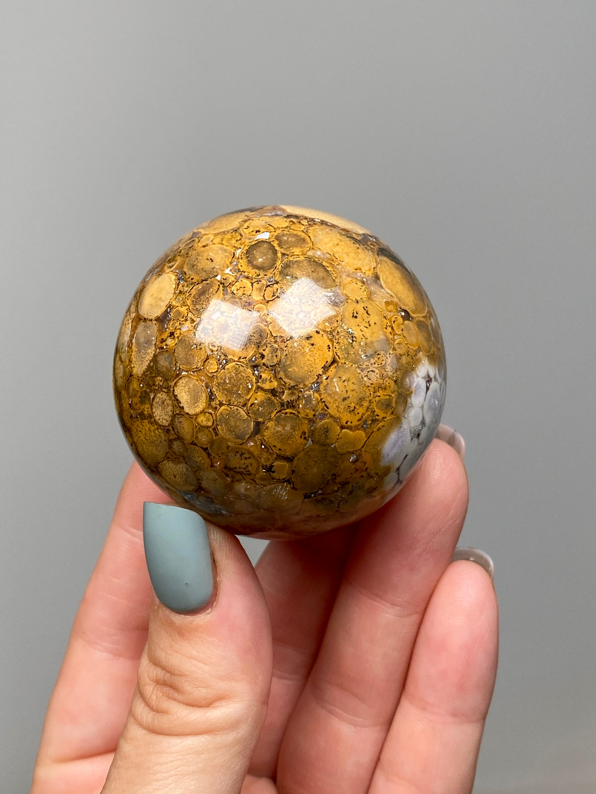 King Cobra Jasper Sphere (B) | Pastel Cream, Yellow & Lilac Cobra Jasper Ball
