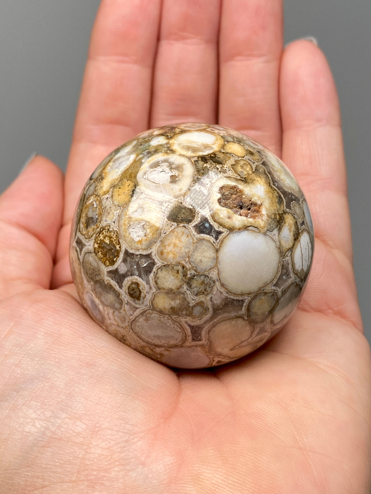 King Cobra Jasper Sphere (E) | Pastel Cream & Yellow Cobra Jasper Ball with Vugs