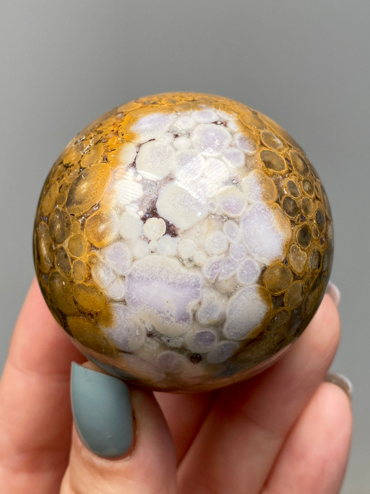 King Cobra Jasper Sphere (B) | Pastel Cream, Yellow & Lilac Cobra Jasper Ball