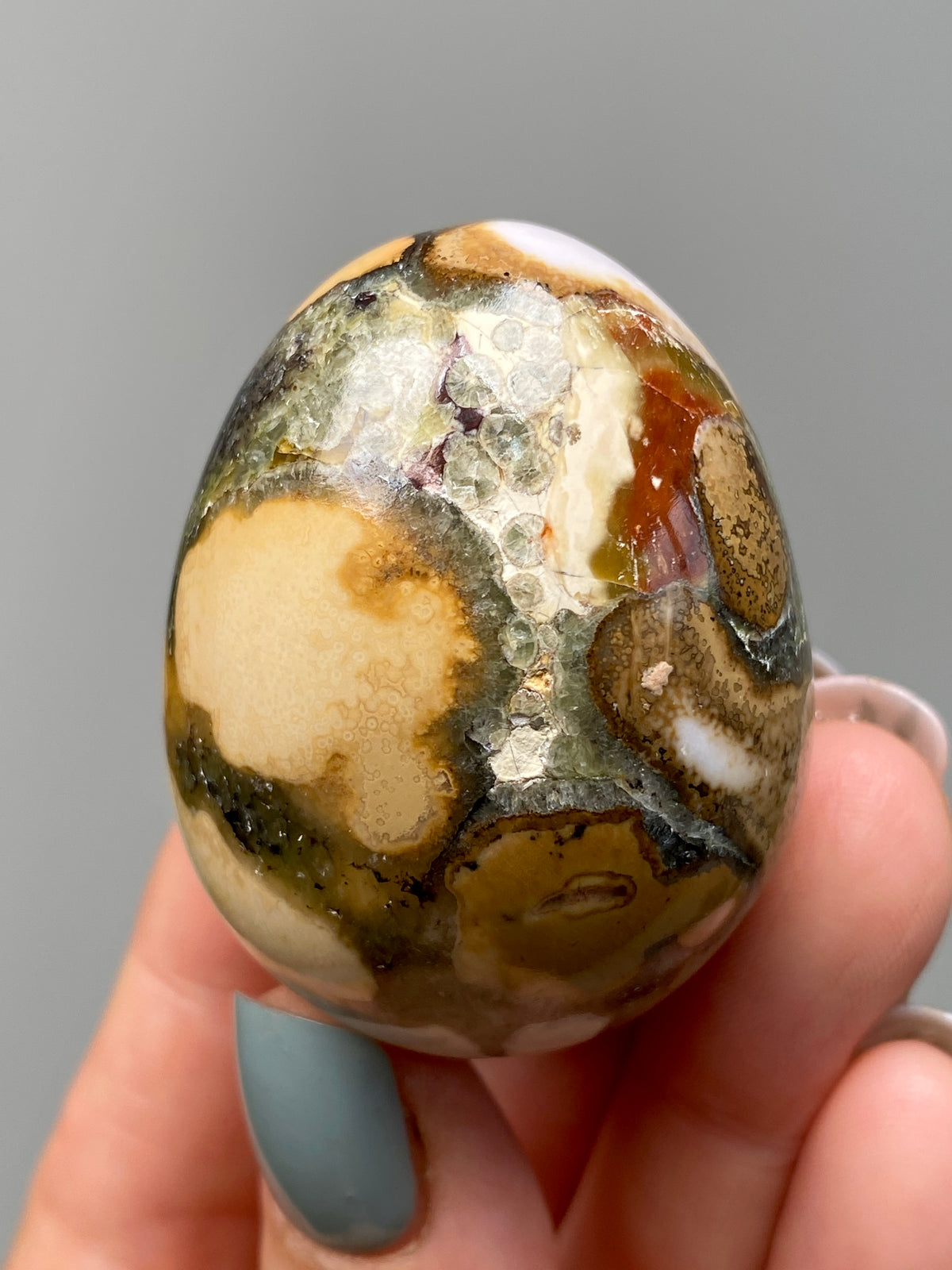 King Cobra Jasper Egg (A) | White, Yellow & Green Cobra Jasper Crystal Egg