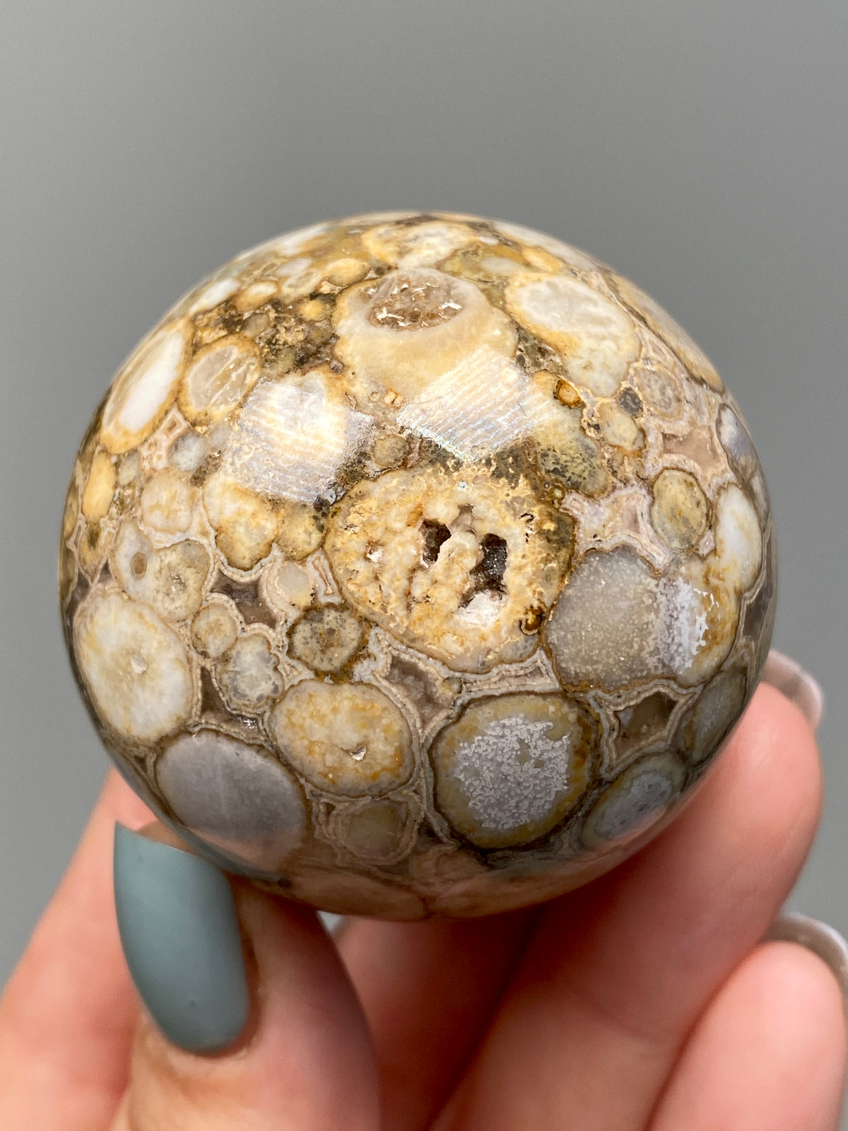 King Cobra Jasper Sphere (E) | Pastel Cream & Yellow Cobra Jasper Ball with Vugs