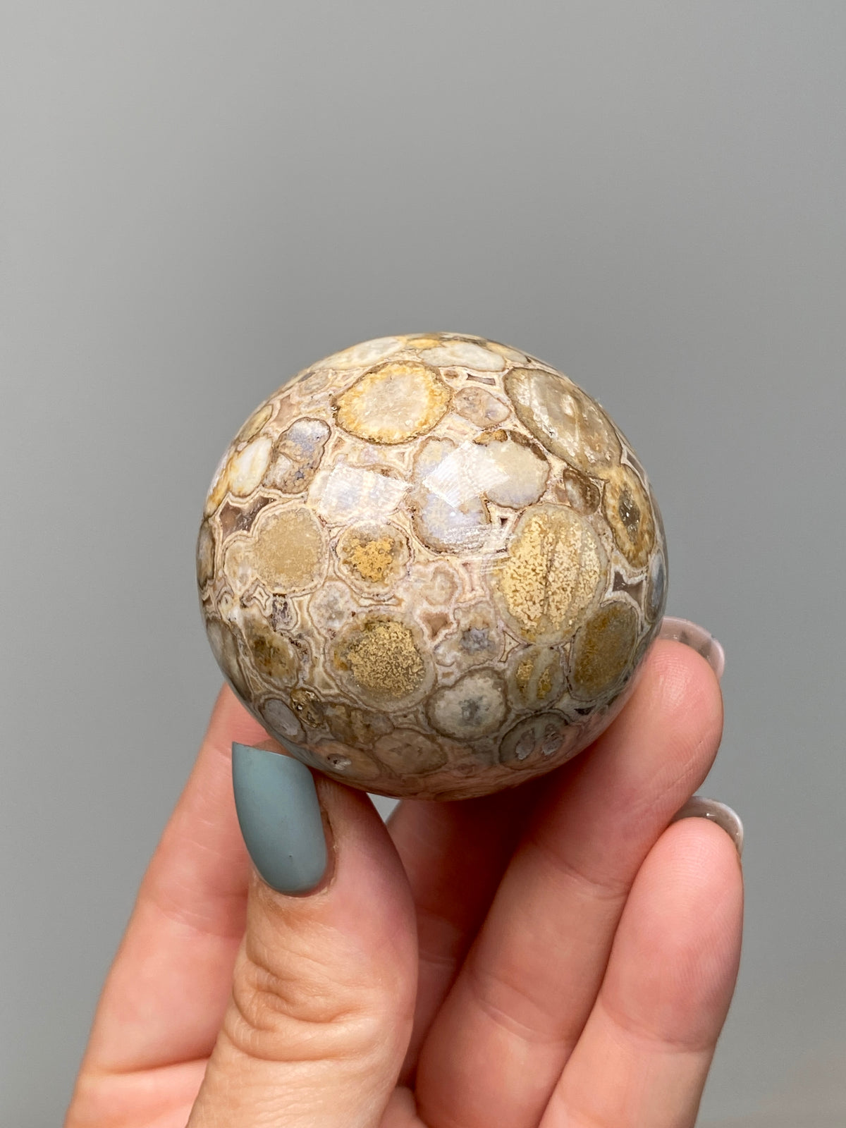 King Cobra Jasper Sphere (E) | Pastel Cream & Yellow Cobra Jasper Ball with Vugs