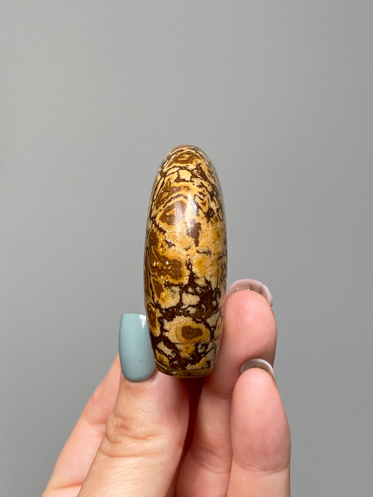 Outback Jasper Bear (A) | Hand Carved Banded Chert Bear