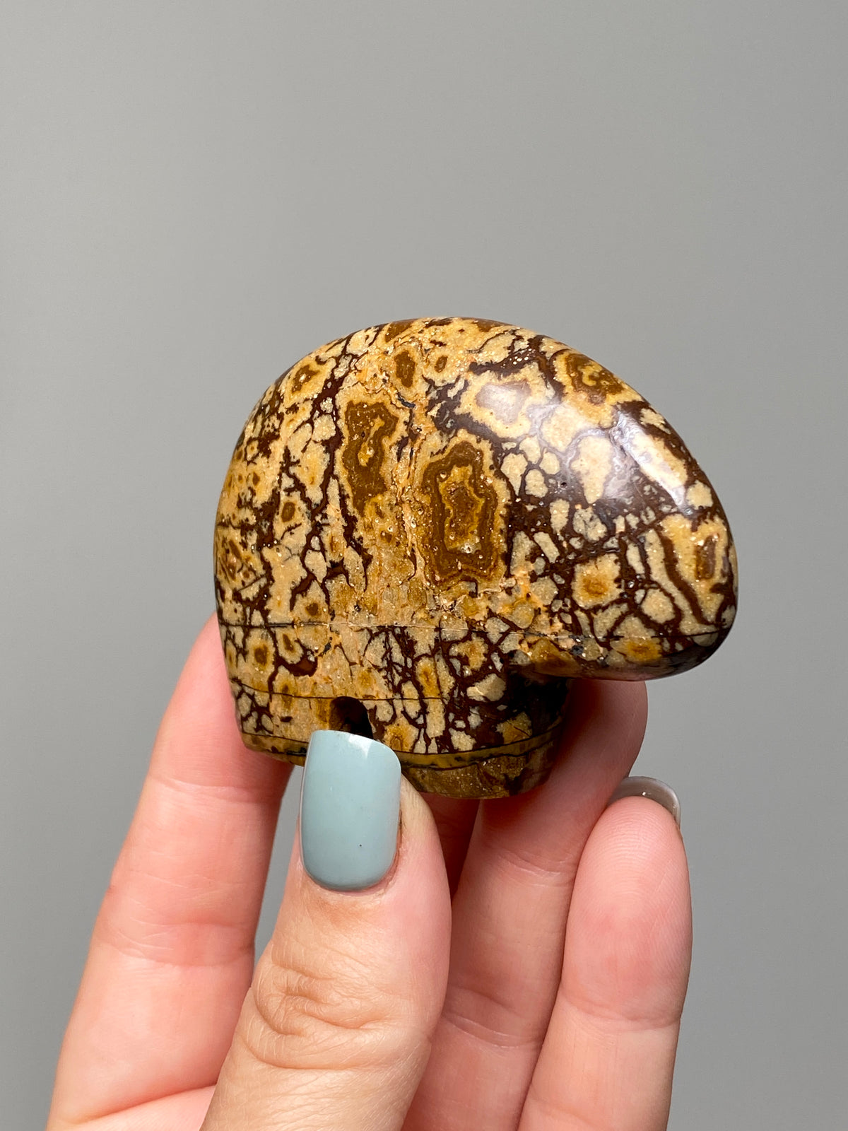 Outback Jasper Bear (A) | Hand Carved Banded Chert Bear
