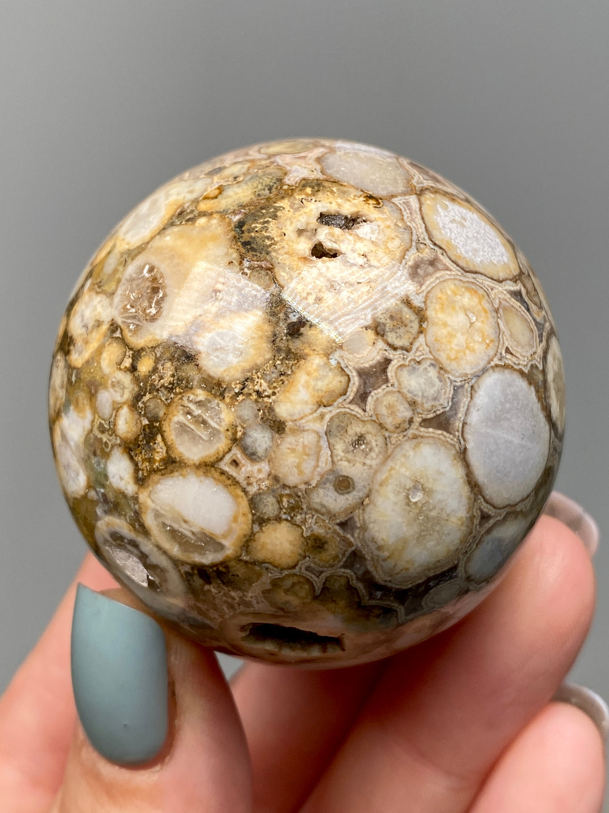 King Cobra Jasper Sphere (E) | Pastel Cream & Yellow Cobra Jasper Ball with Vugs