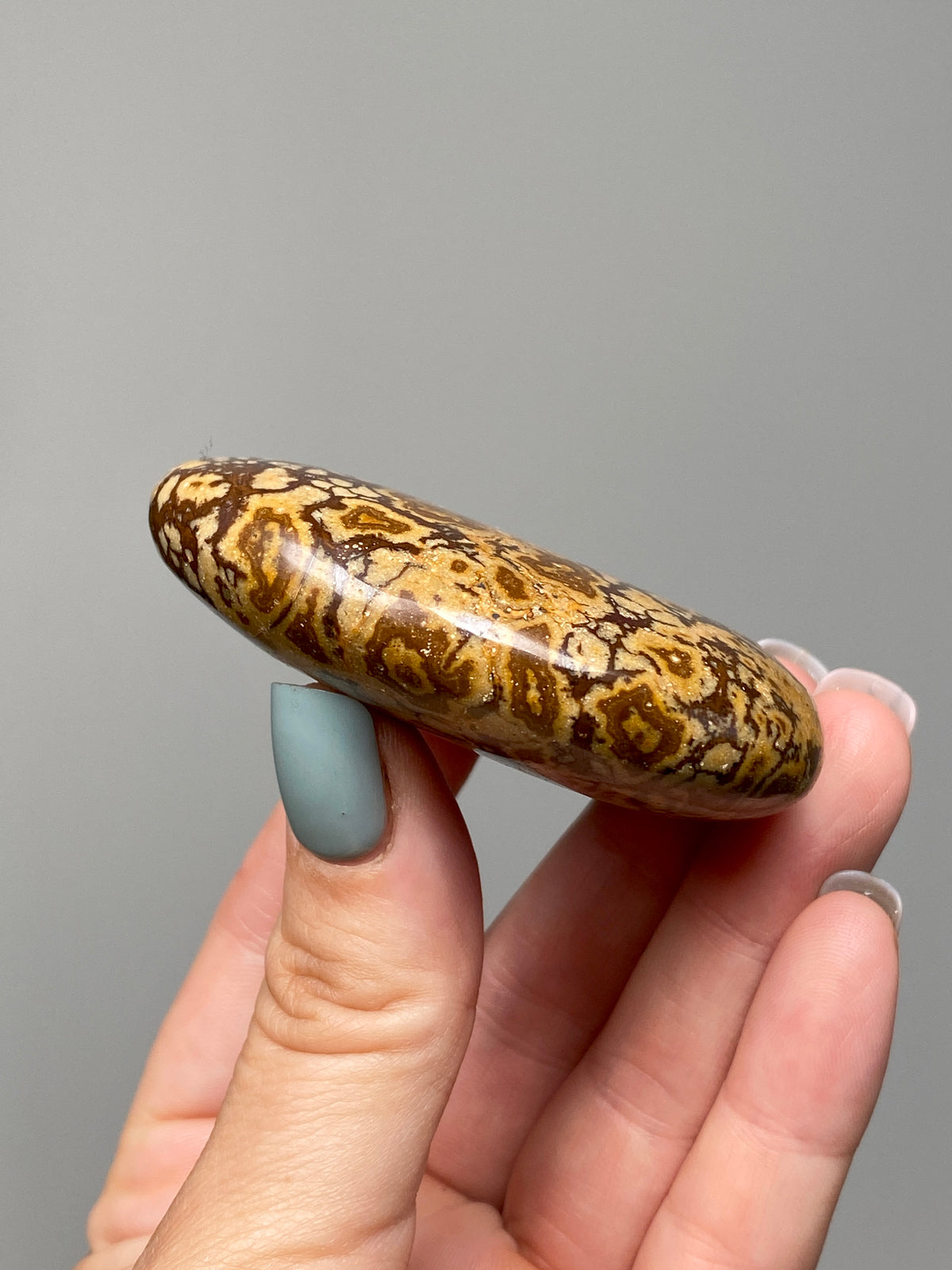 Outback Jasper Bear (A) | Hand Carved Banded Chert Bear