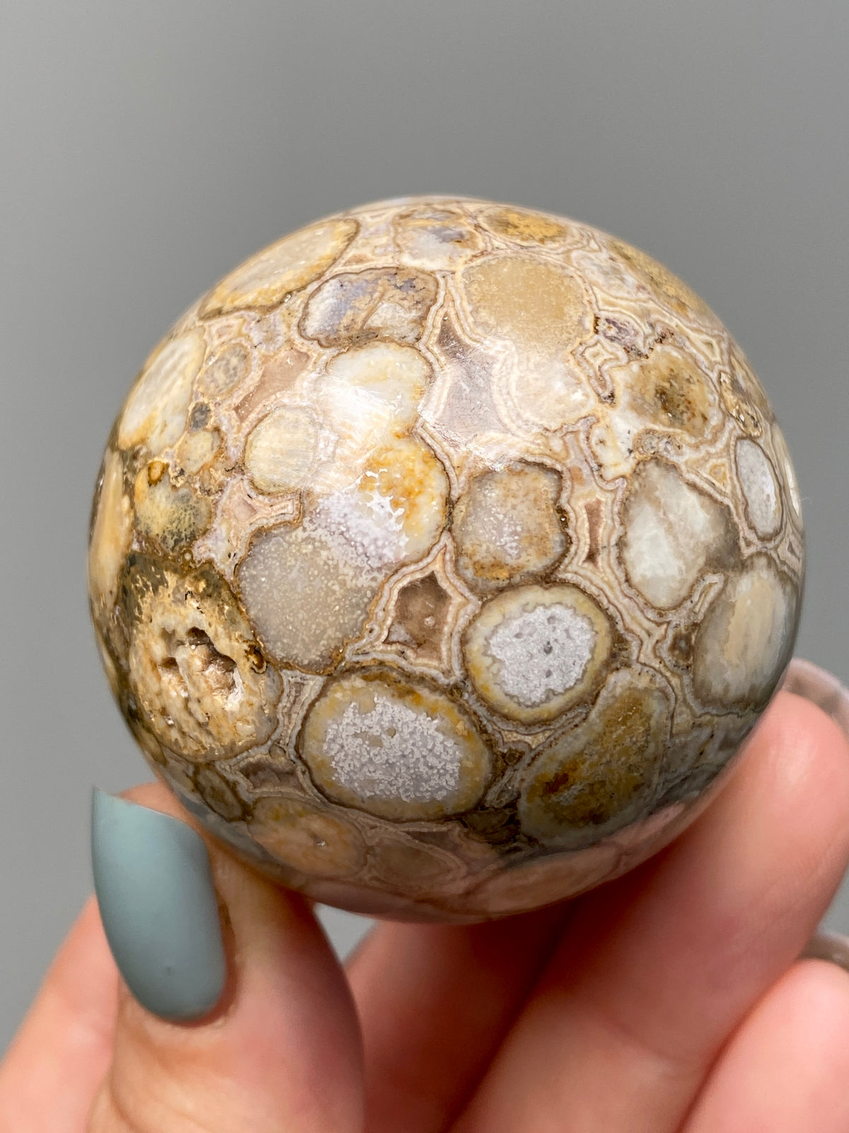 King Cobra Jasper Sphere (E) | Pastel Cream & Yellow Cobra Jasper Ball with Vugs