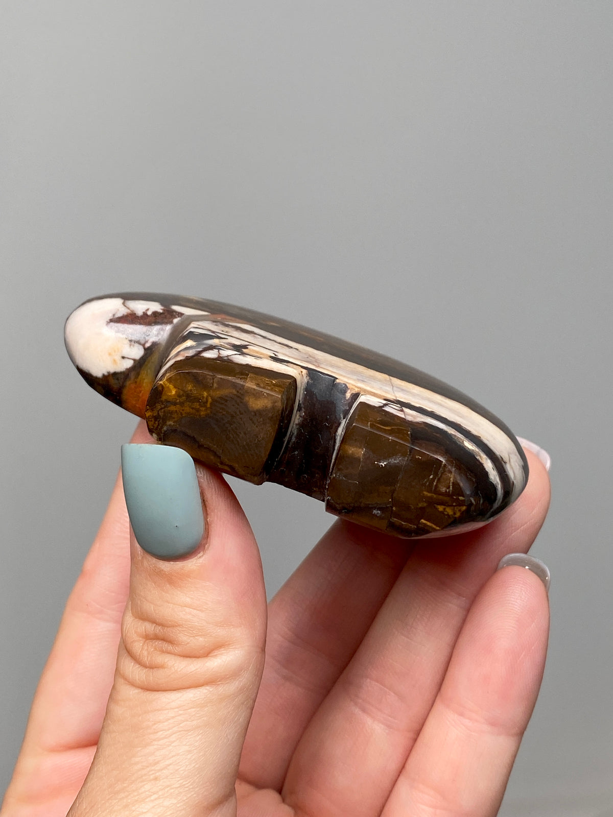 RESERVED                                        Outback Jasper Bear (C) | Hand Carved Banded Chert Bear