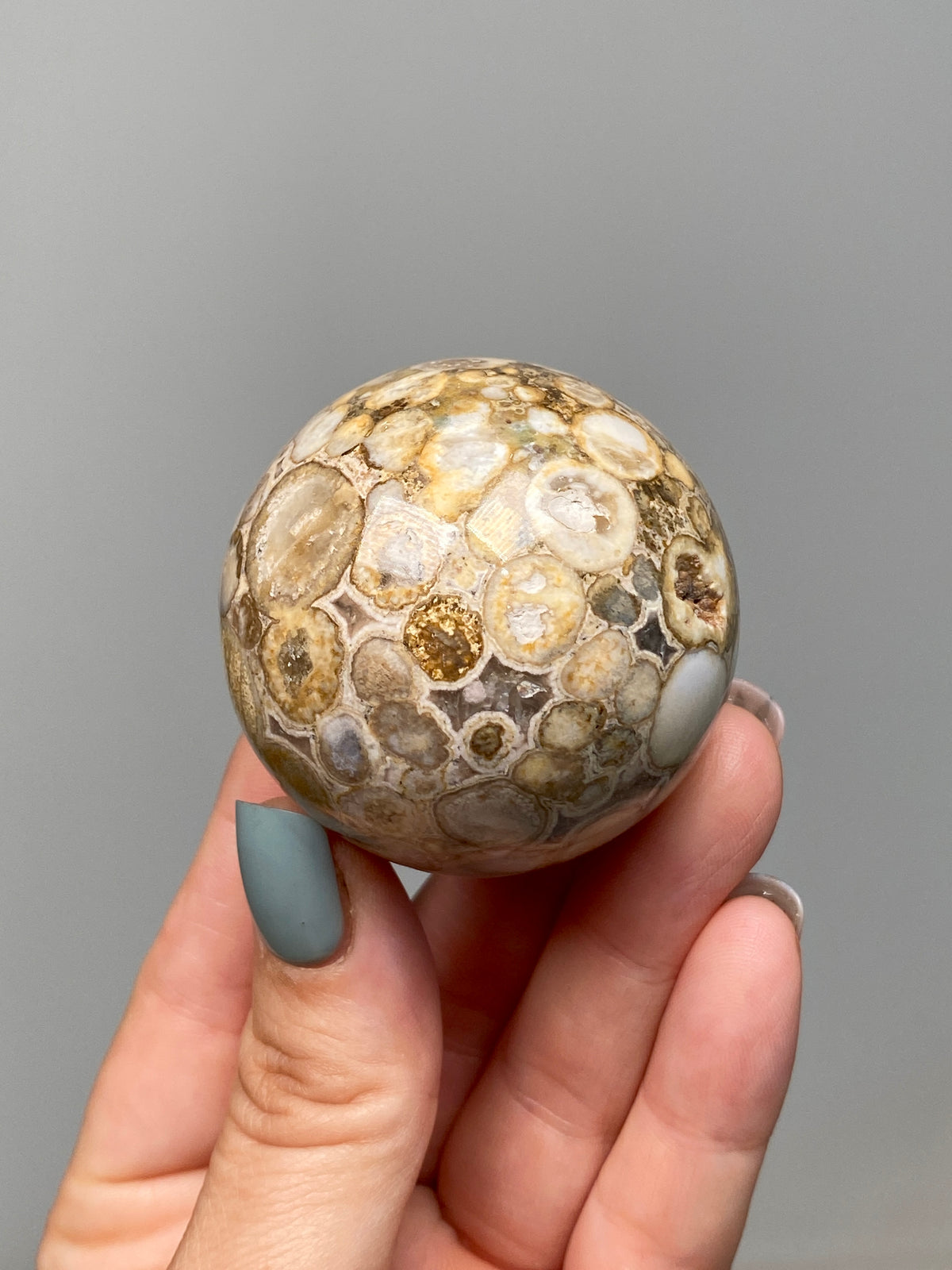 King Cobra Jasper Sphere (E) | Pastel Cream & Yellow Cobra Jasper Ball with Vugs