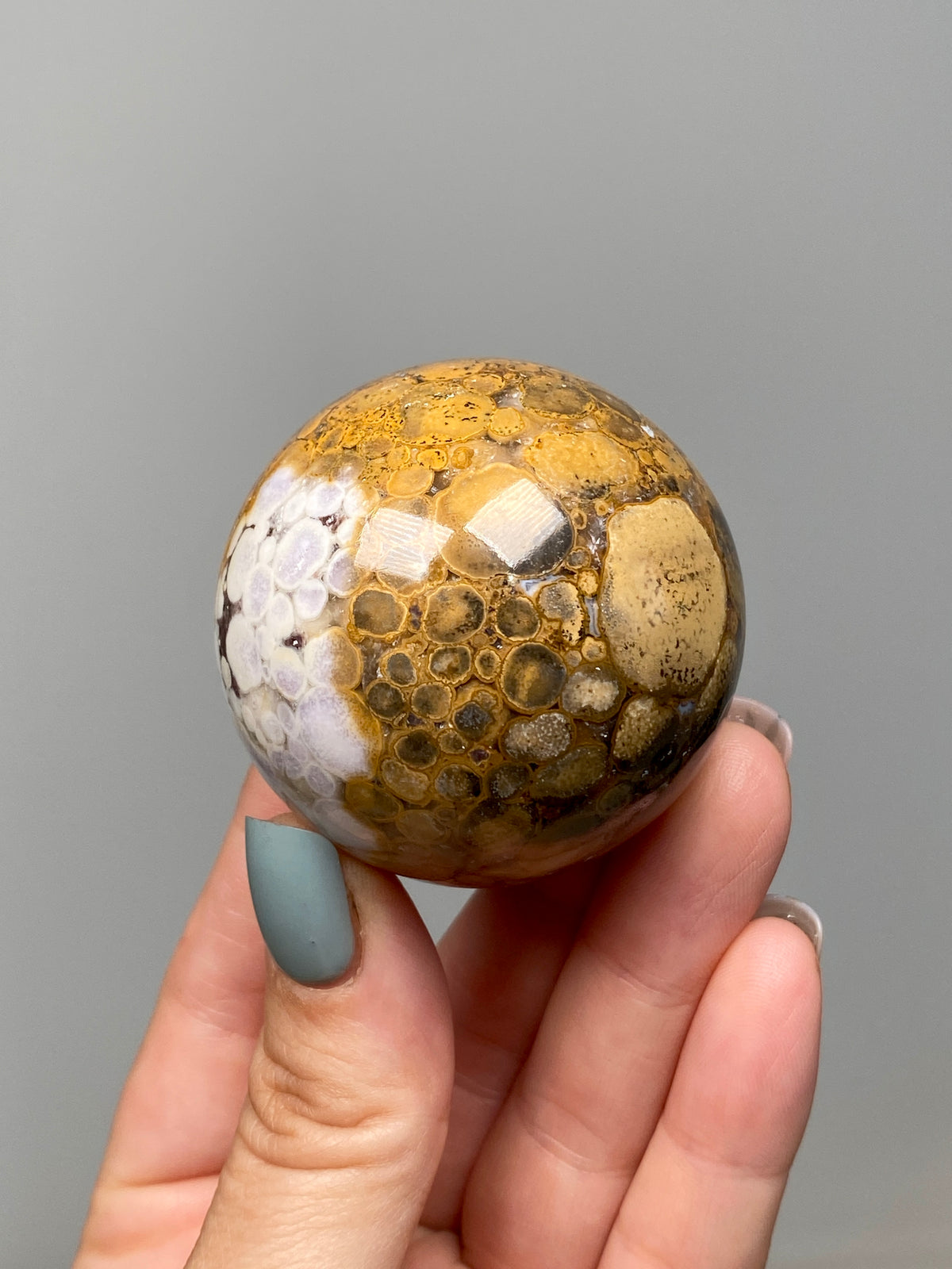 King Cobra Jasper Sphere (B) | Pastel Cream, Yellow & Lilac Cobra Jasper Ball