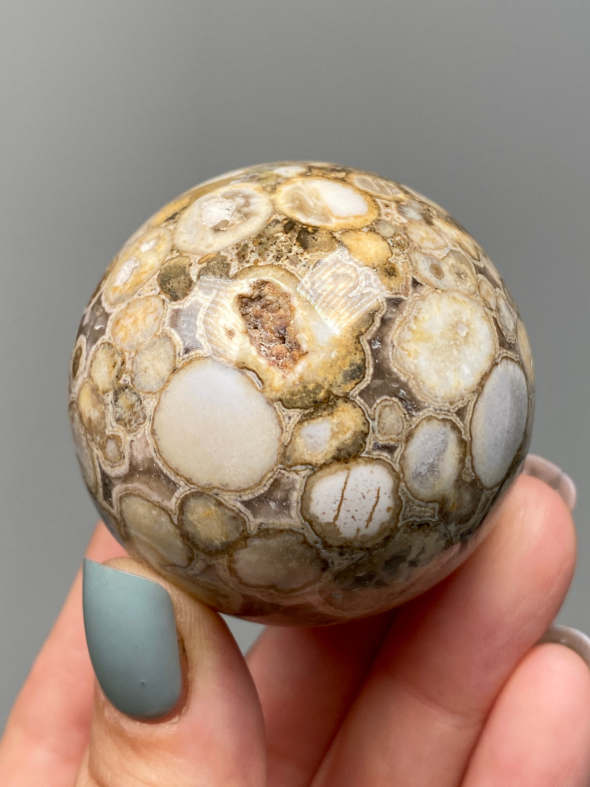 King Cobra Jasper Sphere (E) | Pastel Cream & Yellow Cobra Jasper Ball with Vugs