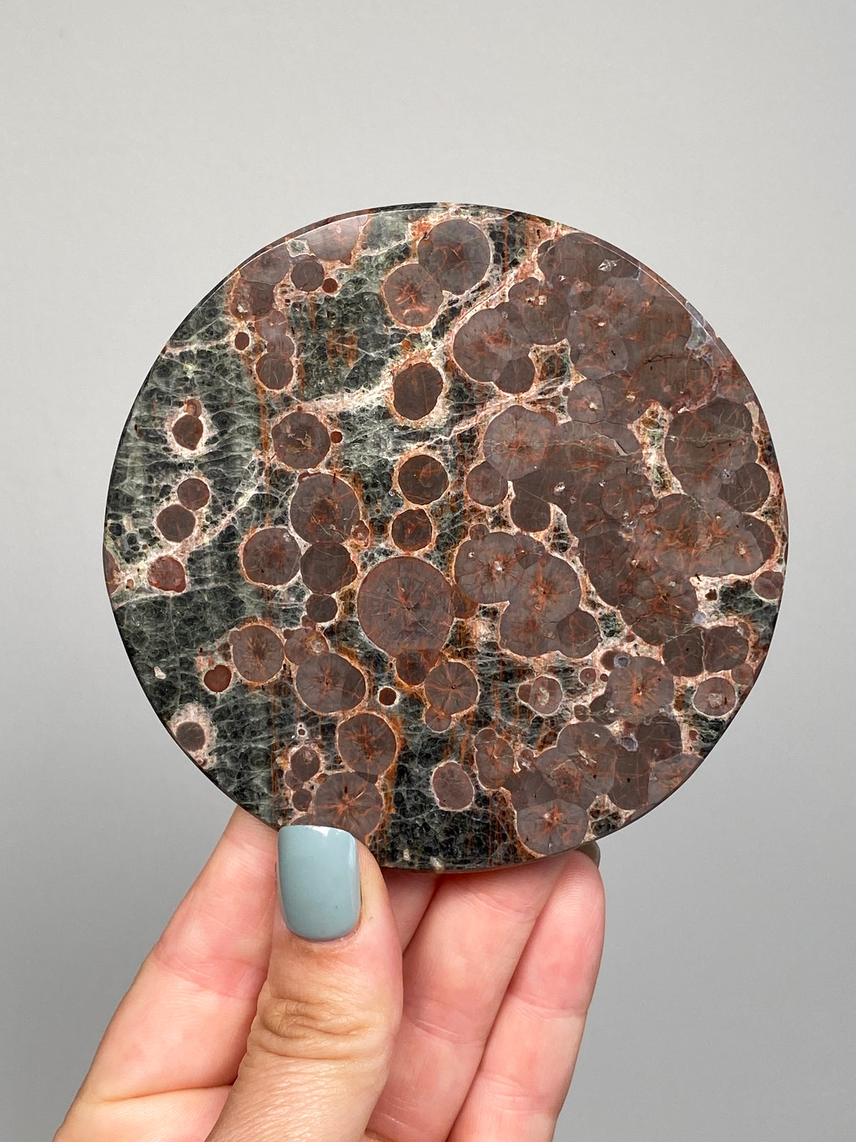 Mexican Peanut Obsidian Disc (C)