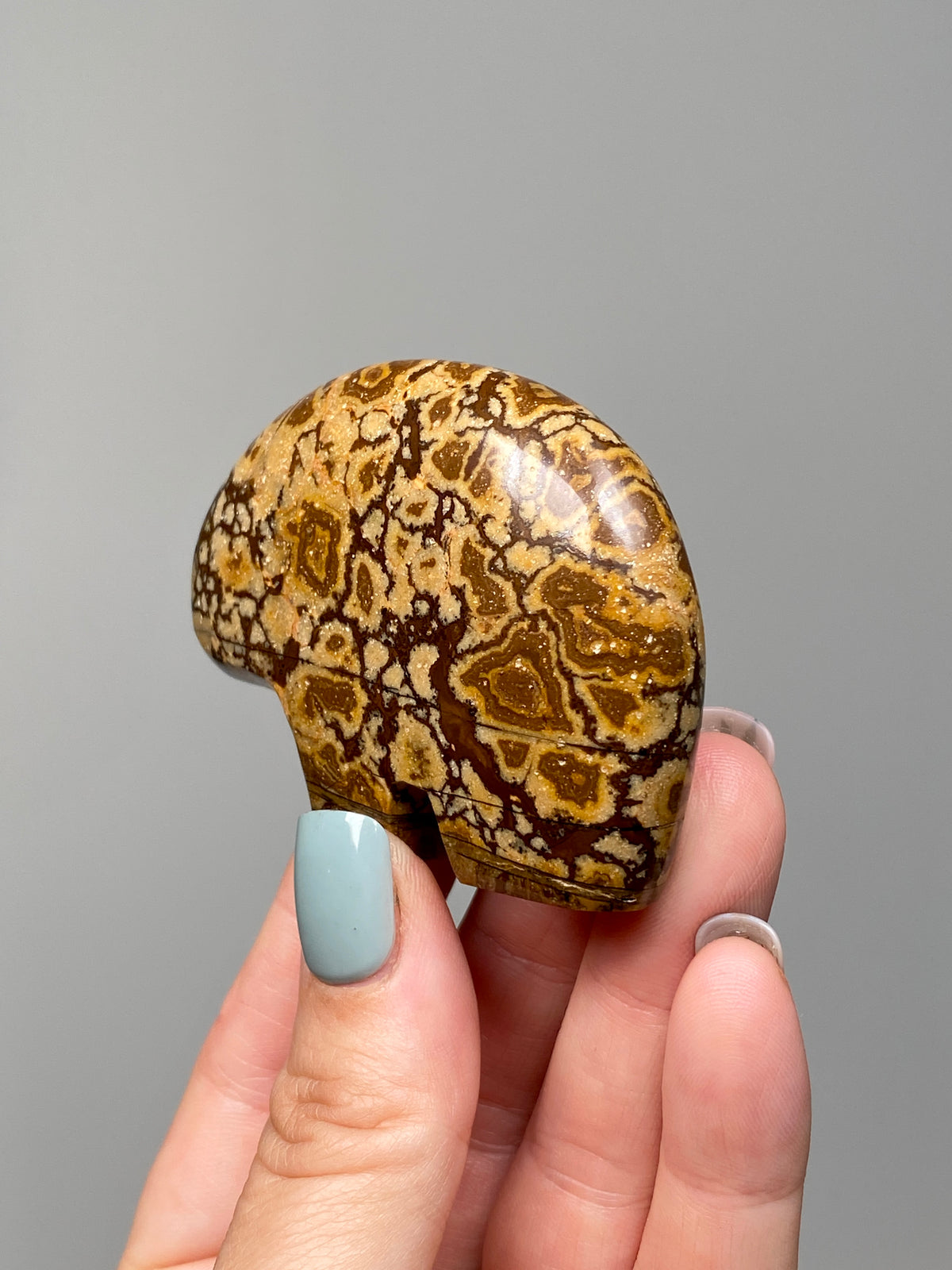 Outback Jasper Bear (A) | Hand Carved Banded Chert Bear