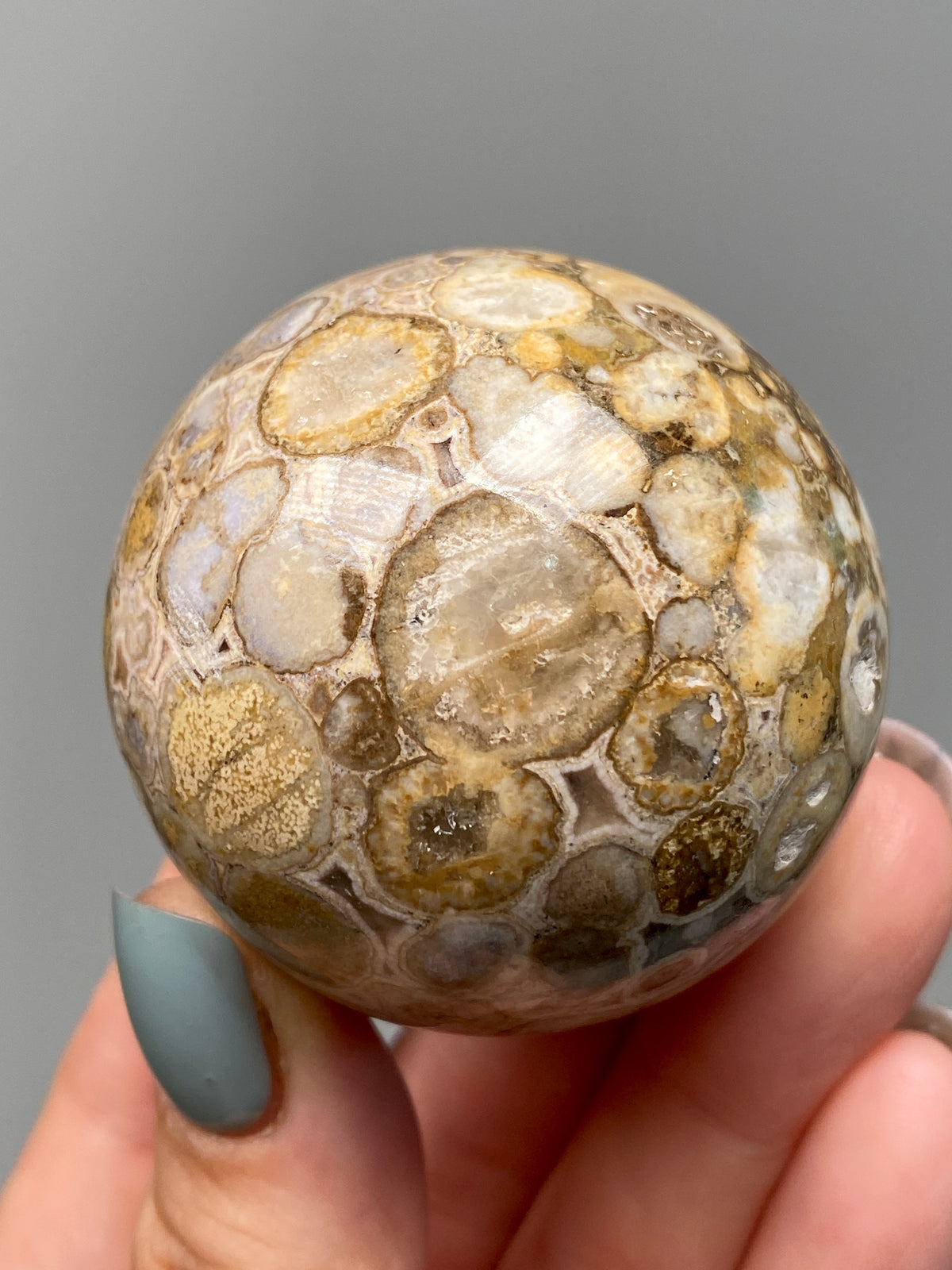 King Cobra Jasper Sphere (E) | Pastel Cream & Yellow Cobra Jasper Ball with Vugs