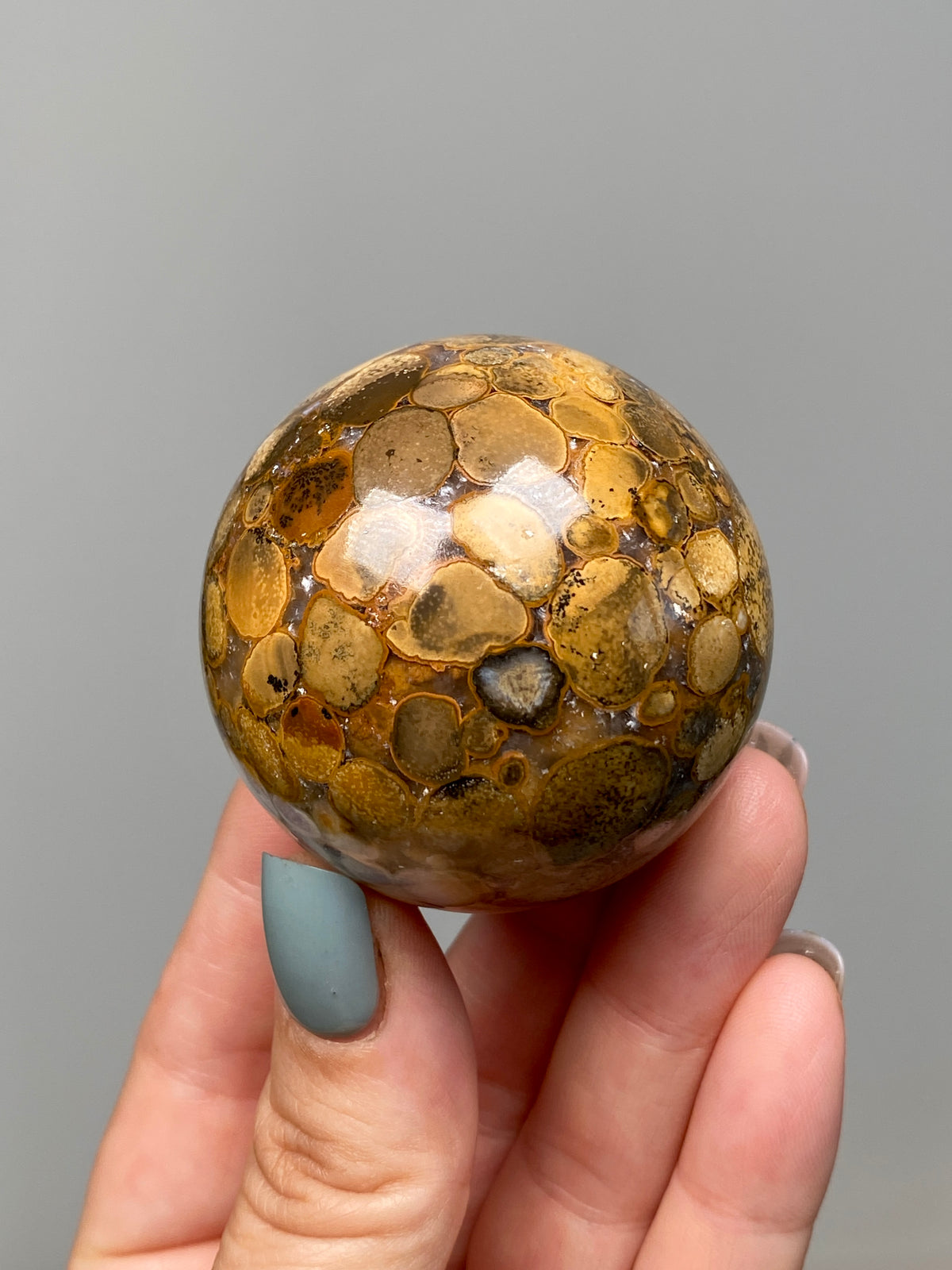 King Cobra Jasper Sphere (B) | Pastel Cream, Yellow & Lilac Cobra Jasper Ball