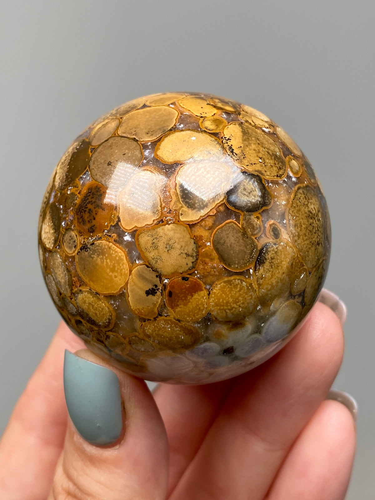 King Cobra Jasper Sphere (B) | Pastel Cream, Yellow & Lilac Cobra Jasper Ball