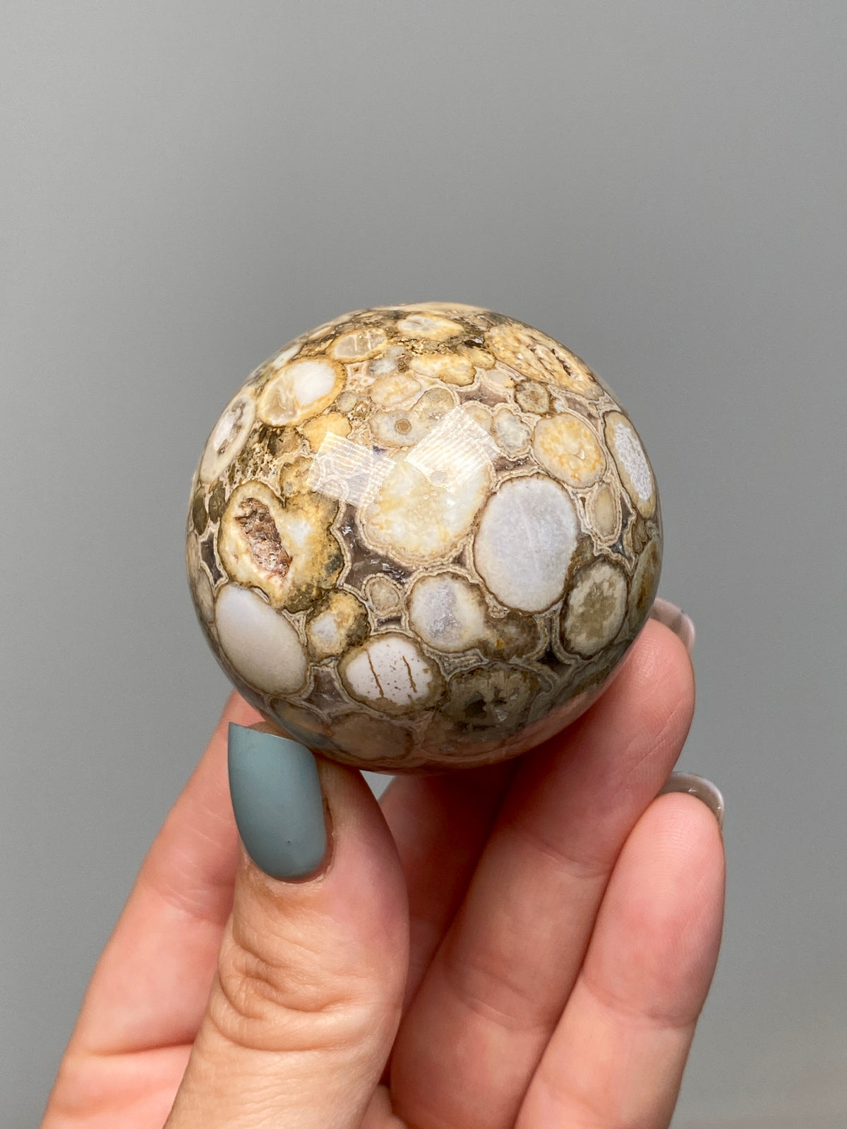 King Cobra Jasper Sphere (E) | Pastel Cream & Yellow Cobra Jasper Ball with Vugs