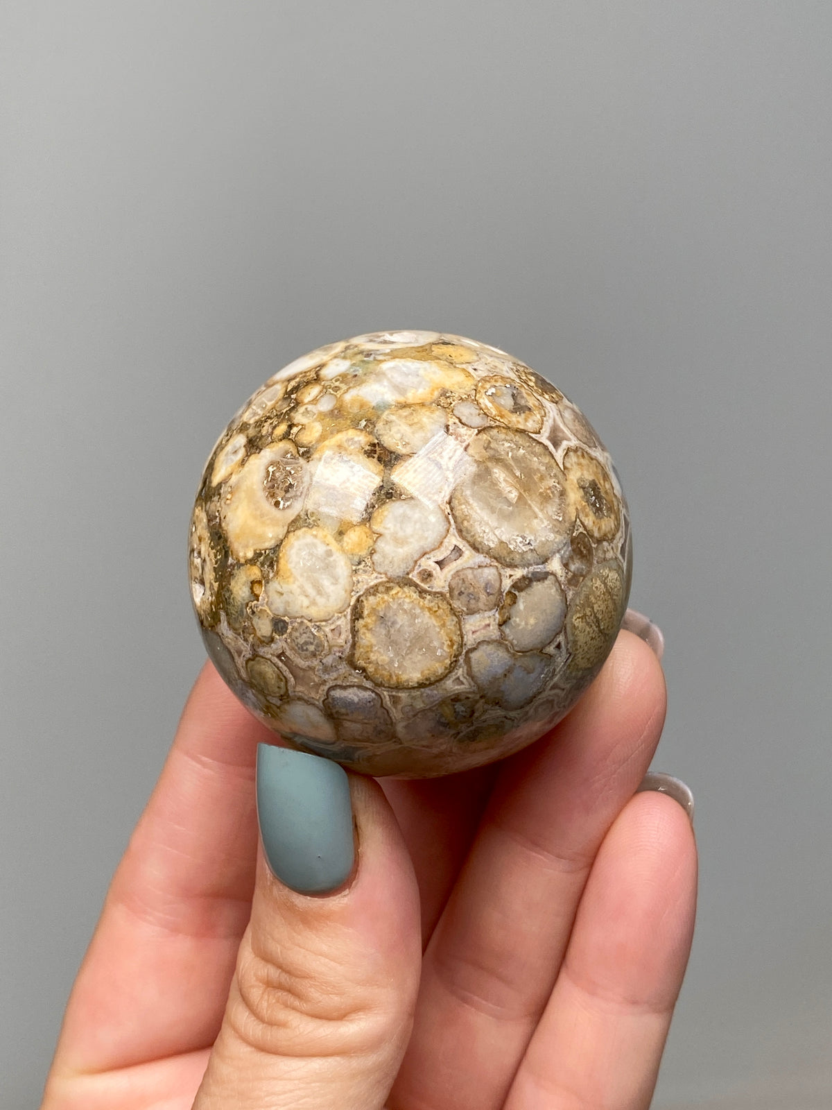 King Cobra Jasper Sphere (E) | Pastel Cream & Yellow Cobra Jasper Ball with Vugs