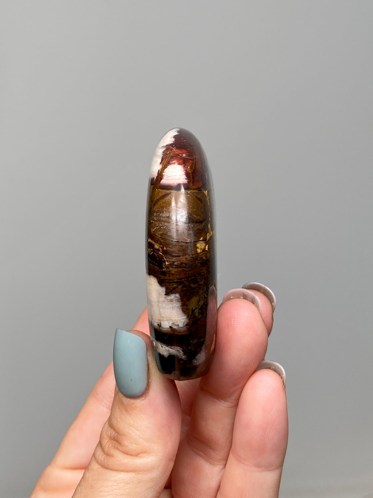 RESERVED                                        Outback Jasper Bear (C) | Hand Carved Banded Chert Bear