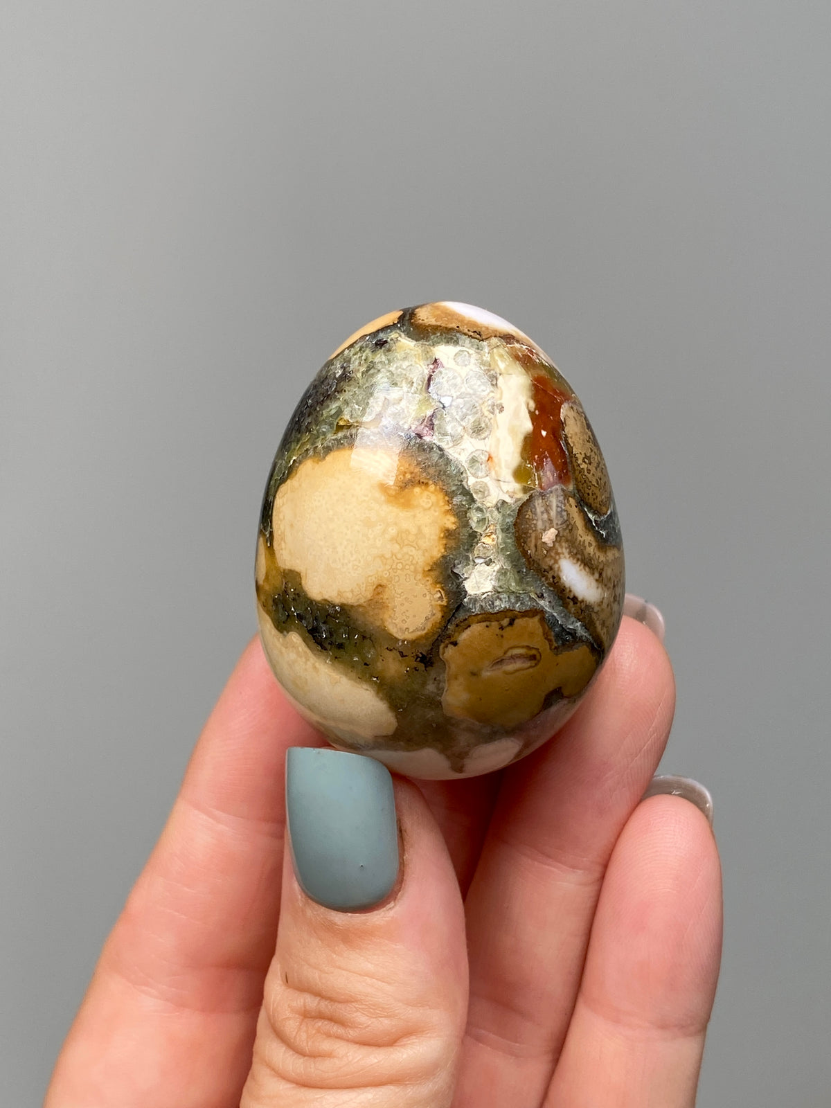 King Cobra Jasper Egg (A) | White, Yellow & Green Cobra Jasper Crystal Egg