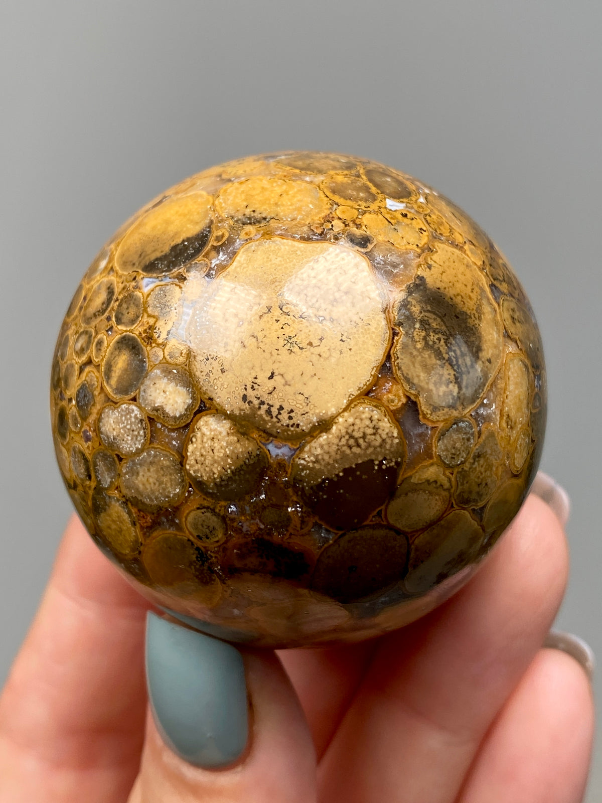 King Cobra Jasper Sphere (B) | Pastel Cream, Yellow & Lilac Cobra Jasper Ball