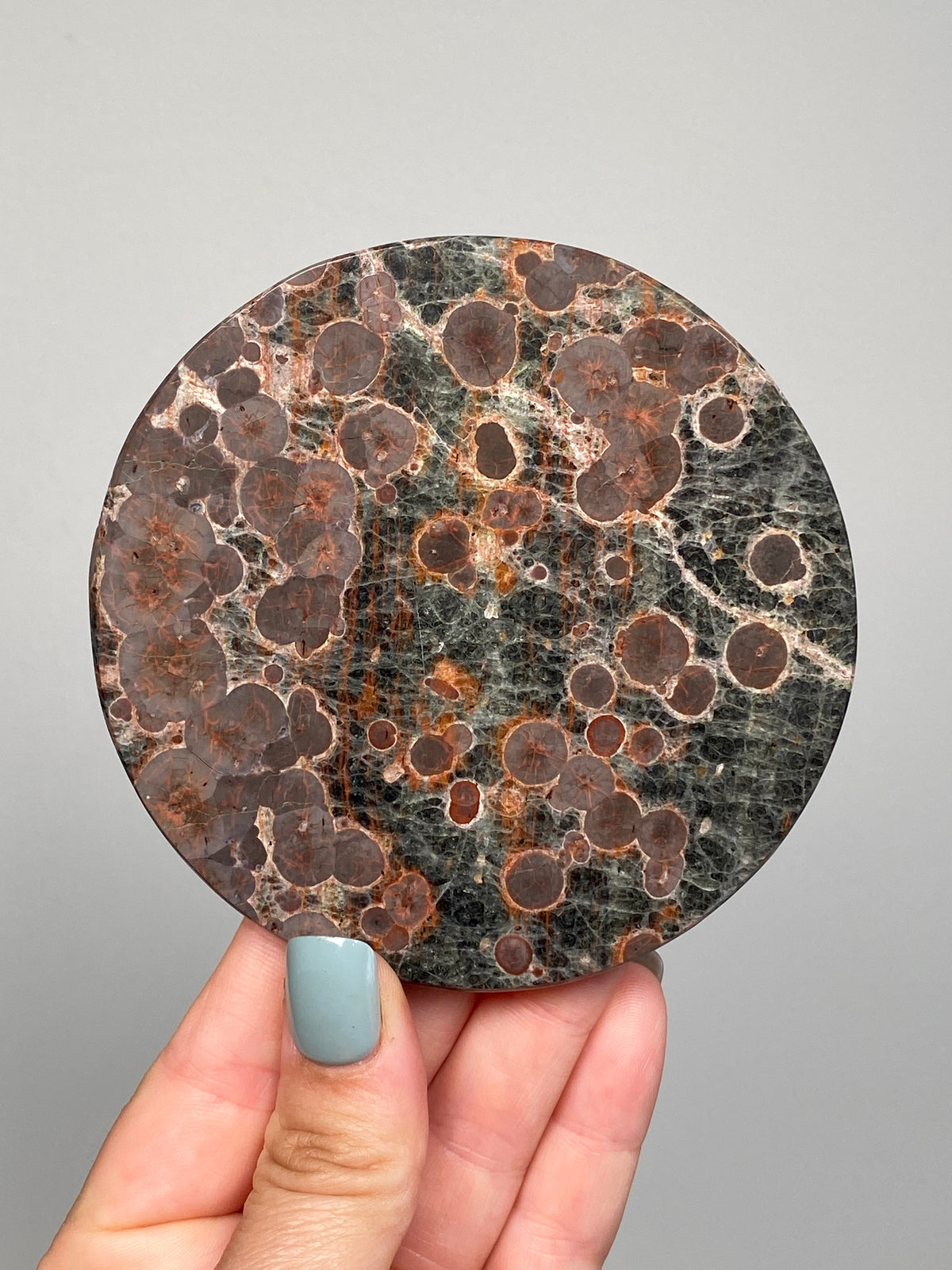 Mexican Peanut Obsidian Disc (C)