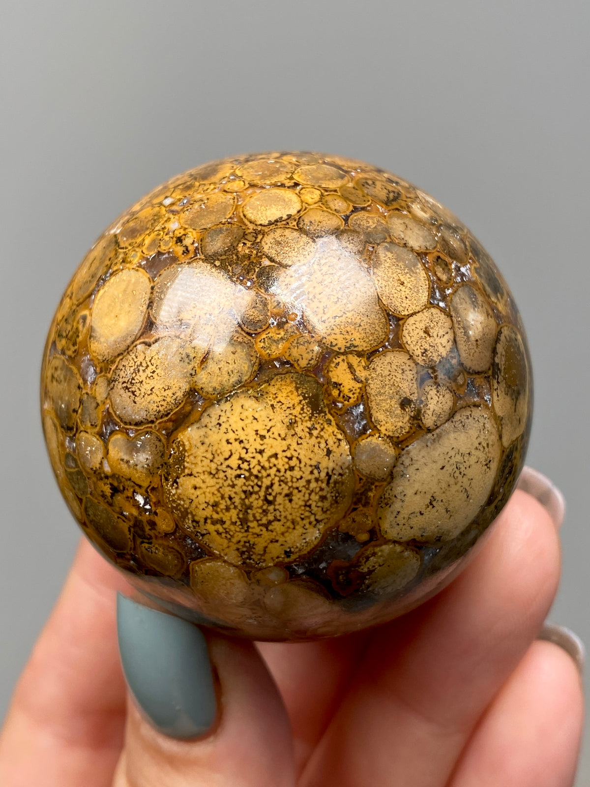 King Cobra Jasper Sphere (B) | Pastel Cream, Yellow & Lilac Cobra Jasper Ball