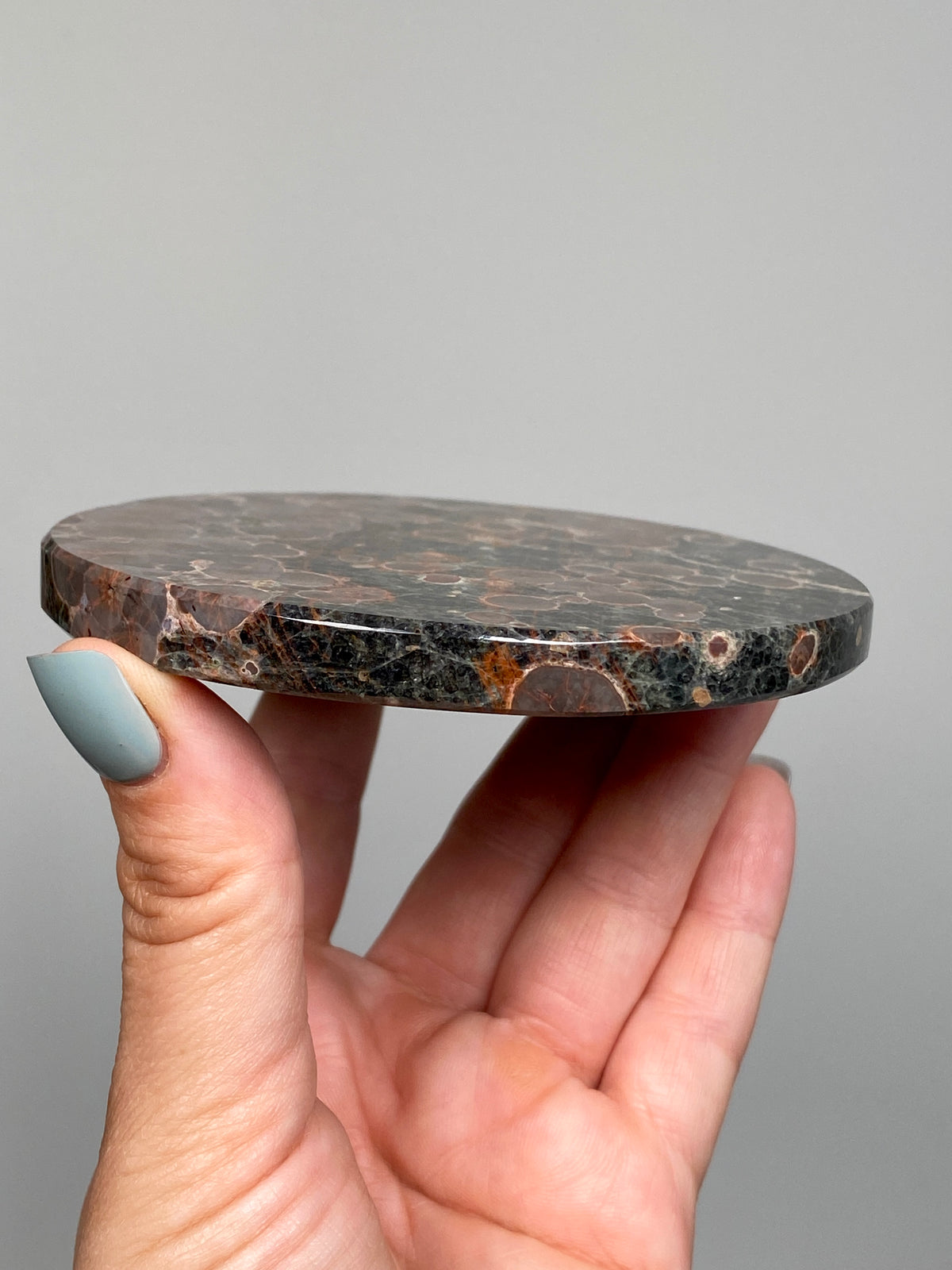 Mexican Peanut Obsidian Disc (C)