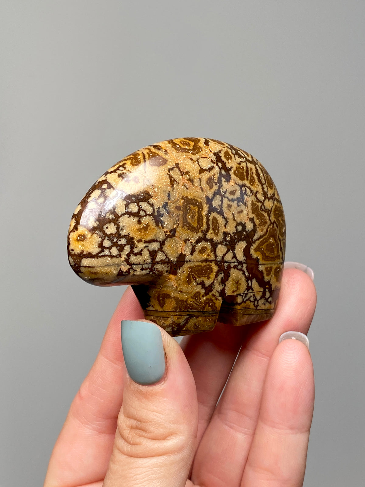 Outback Jasper Bear (A) | Hand Carved Banded Chert Bear