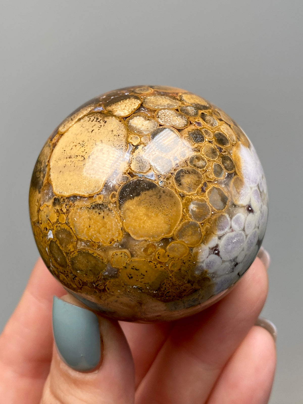 King Cobra Jasper Sphere (B) | Pastel Cream, Yellow & Lilac Cobra Jasper Ball