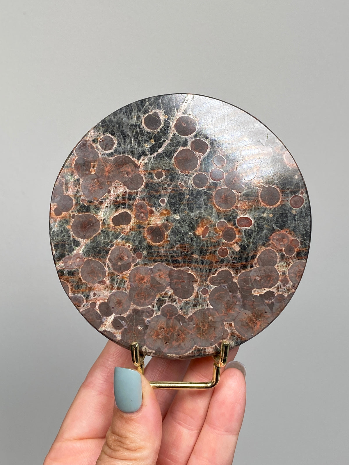 Mexican Peanut Obsidian Disc (C)