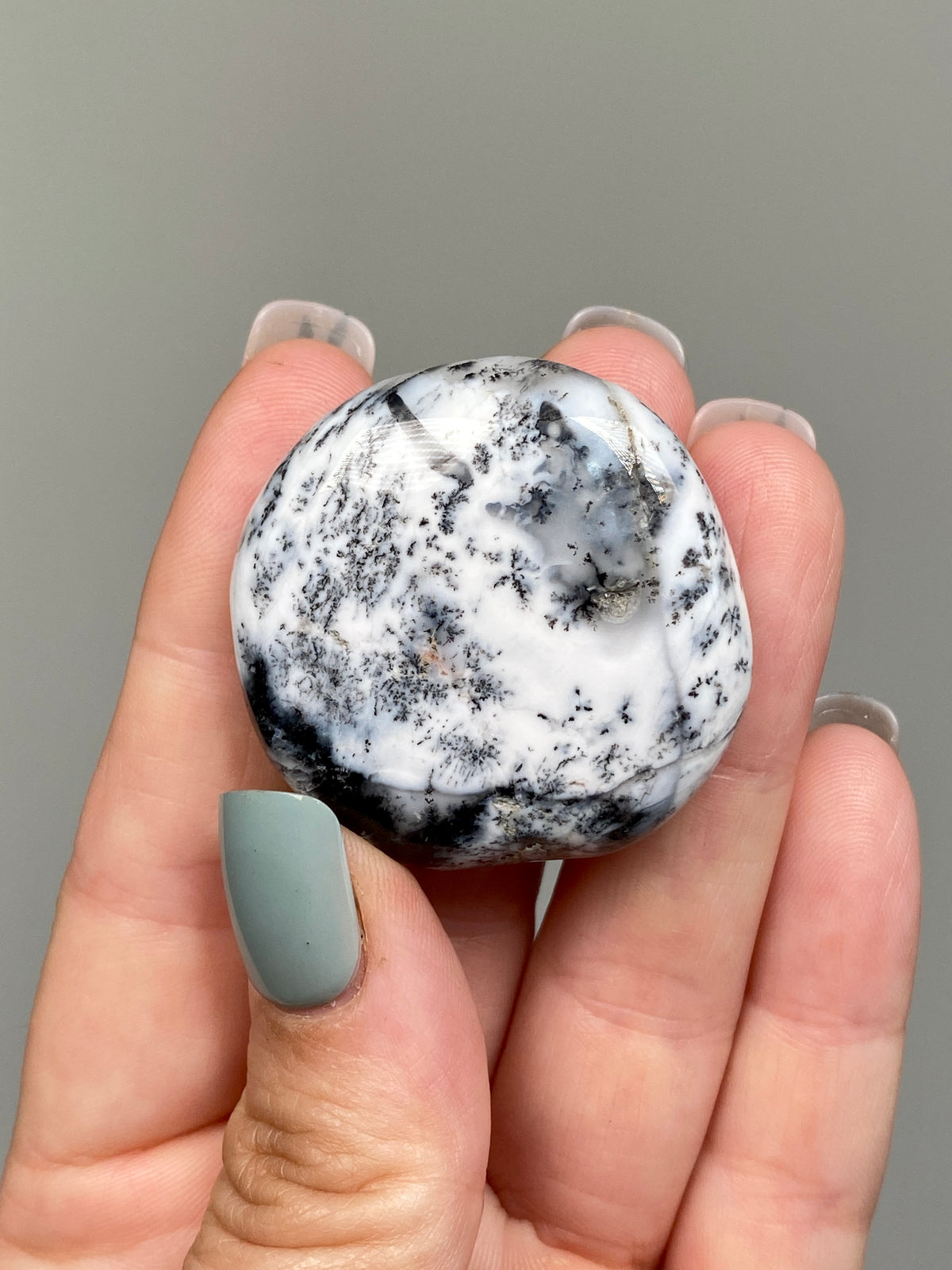 Turkish Dendritic Opal Flat Stone (L)