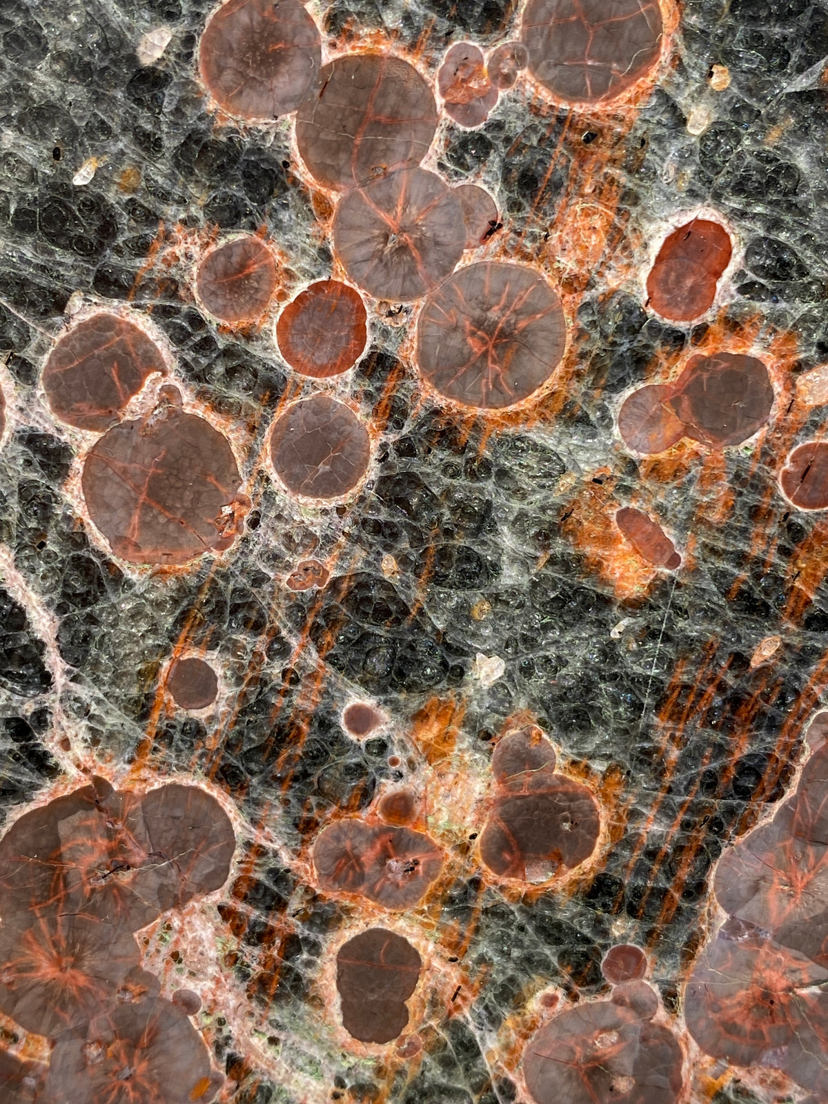 Mexican Peanut Obsidian Disc (C)